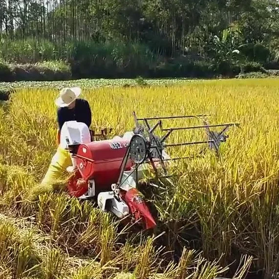 Automatic 13HP New Wheat Rice  - Combine Harvester Mini ulasan dan harga