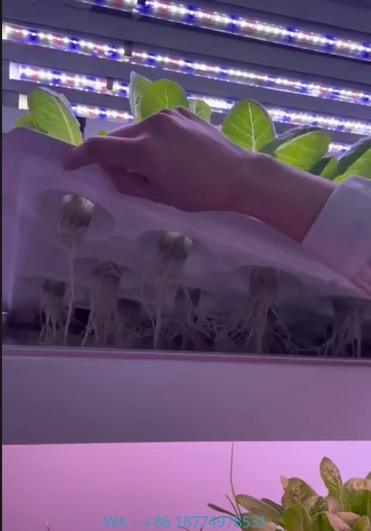 f Greenhouse Agricultural Equi - Agriculture Farming System ulasan dan harga