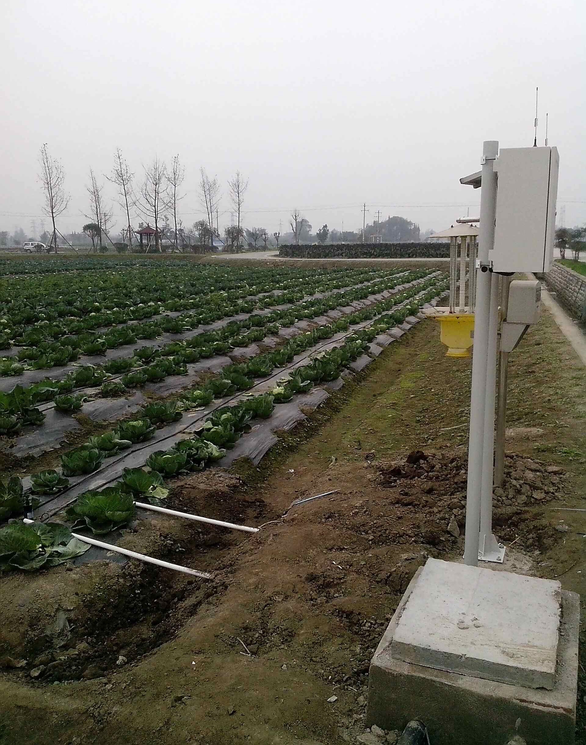 In stock 2026 Smart Crops Farm - Agriculture Farming System ulasan dan harga