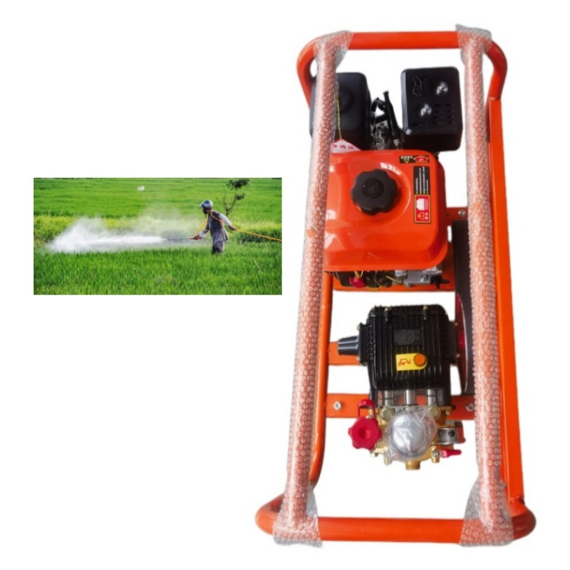 Agricultural Sprayer with Gas  - Agriculture Farm House ulasan dan harga
