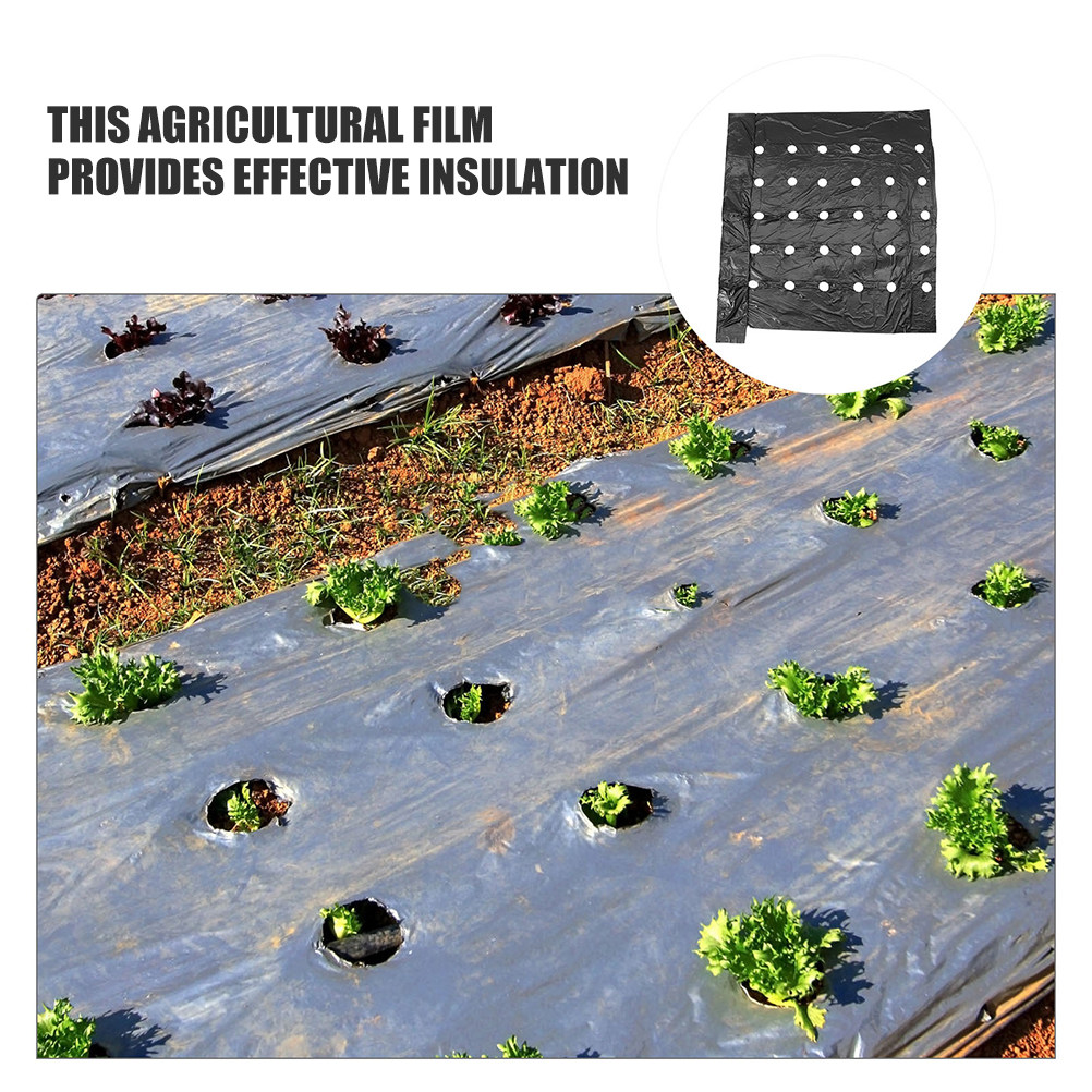 2Pcs Perforated Pe Mulching Fi - Farming Agriculture ulasan dan harga