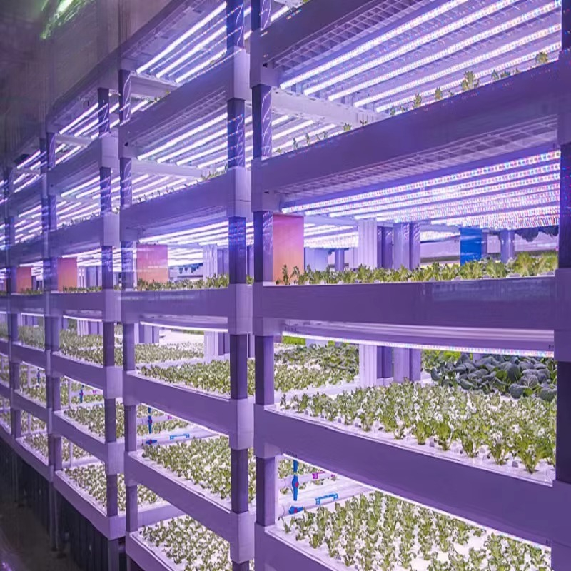 Custom Agricultural Greenhouse - Agriculture Farming System ulasan dan harga