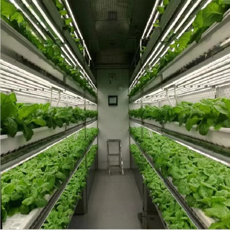 Custom Agricultural Greenhouse - Agriculture Farming System ulasan dan harga