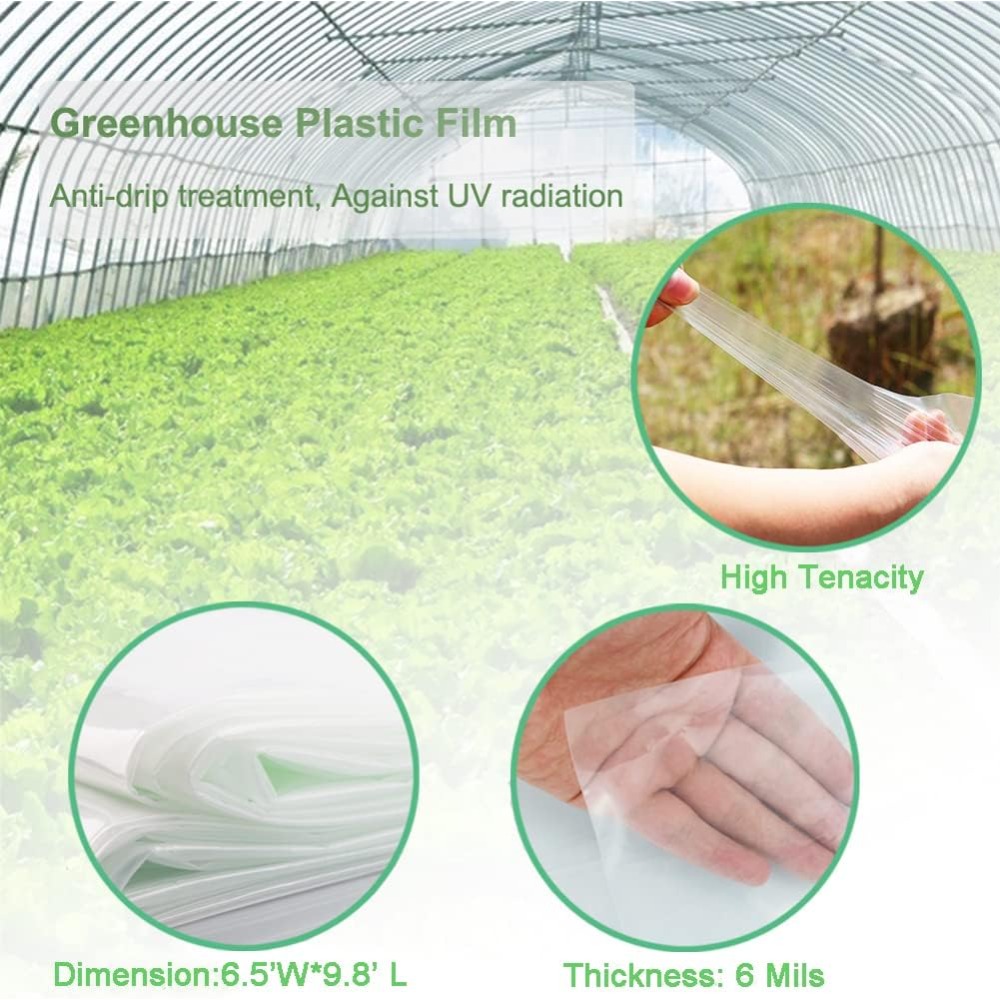 6 Mil Clear Greenhouse Plastic - Agriculture Farm House ulasan dan harga