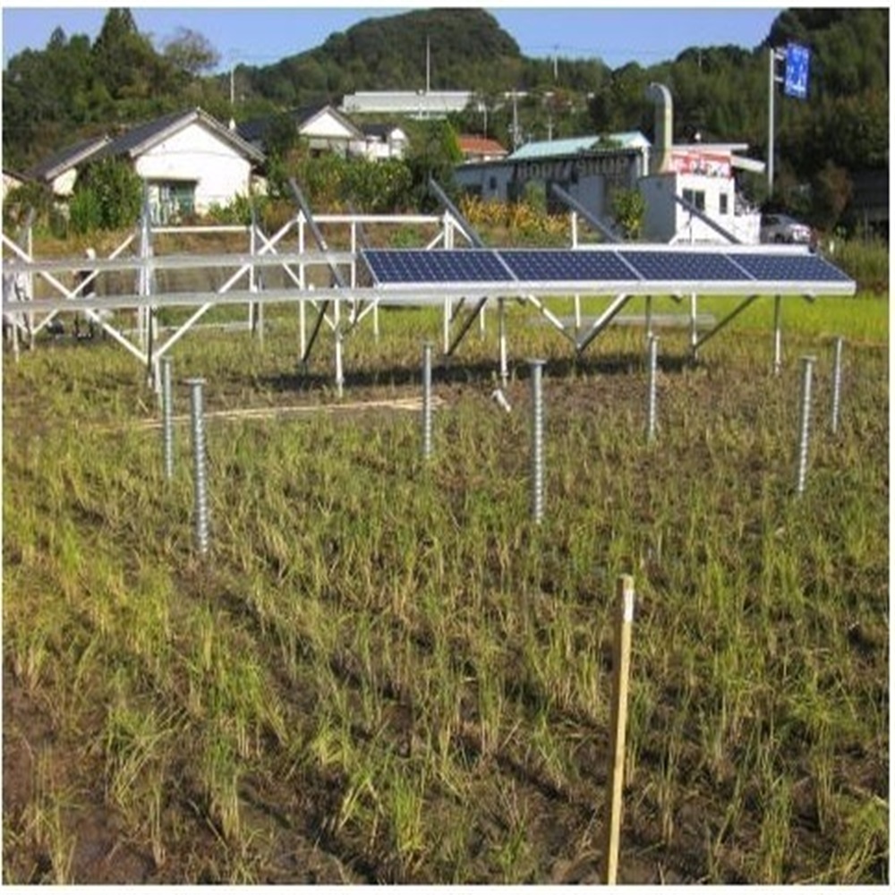 Commercial Solar Farm Design P - Agriculture Farming System ulasan dan harga